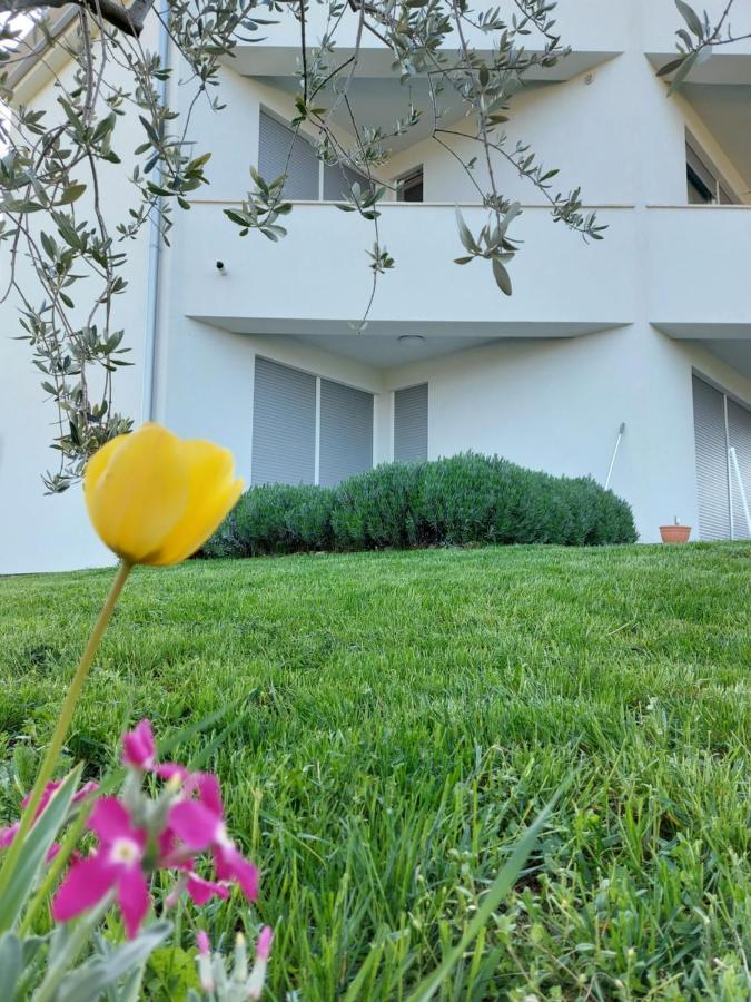 Apartment Fiorella ポレッチ エクステリア 写真